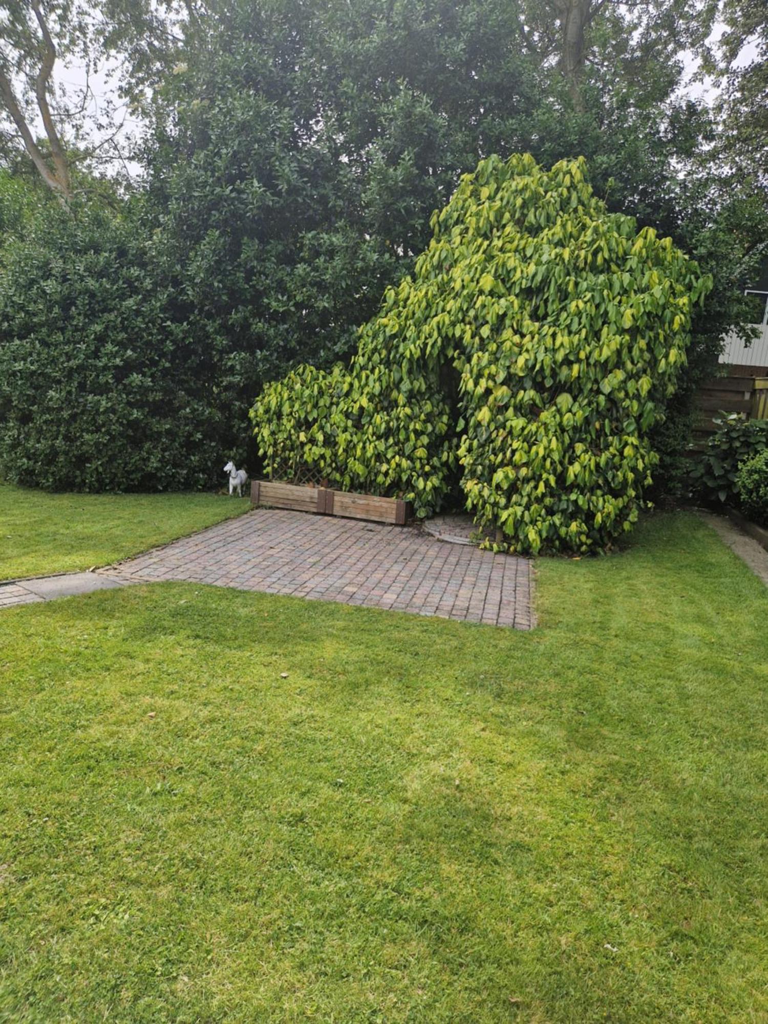Villa Zeelucht Texel De Koog  Exterior foto